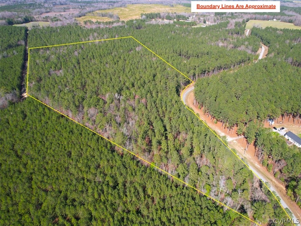 20 Acres (off Of) Spring Farm Road Dendron, VA 23839 - Photo 3 of 25 Gallery Image 3