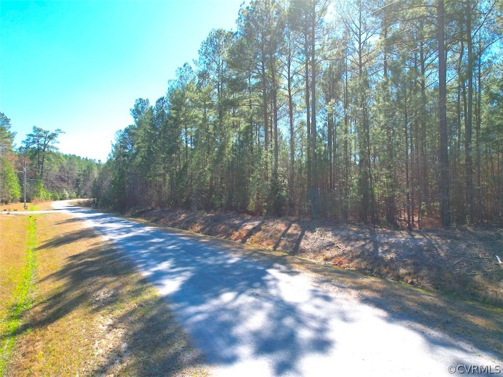20 Acres (off Of) Spring Farm Road Dendron, VA 23839 - Photo 5 of 25 Gallery Image 5