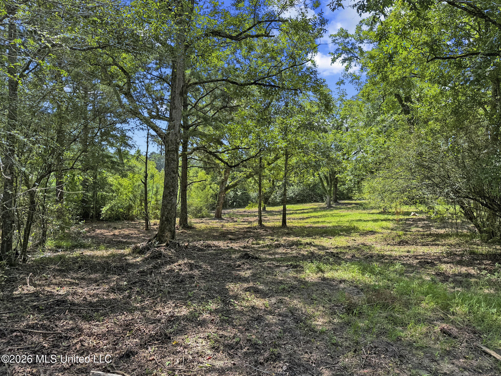 13 Co Road Louin, MS 39338 - Photo 9 of 29 IMG_3444