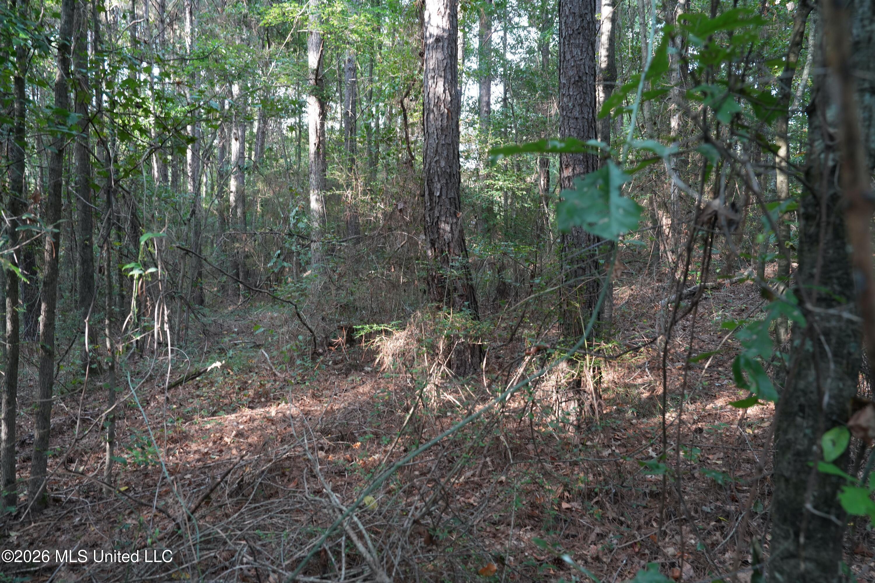 16 County Road Louin, MS 39338 - Photo 8 of 16 DSC04420