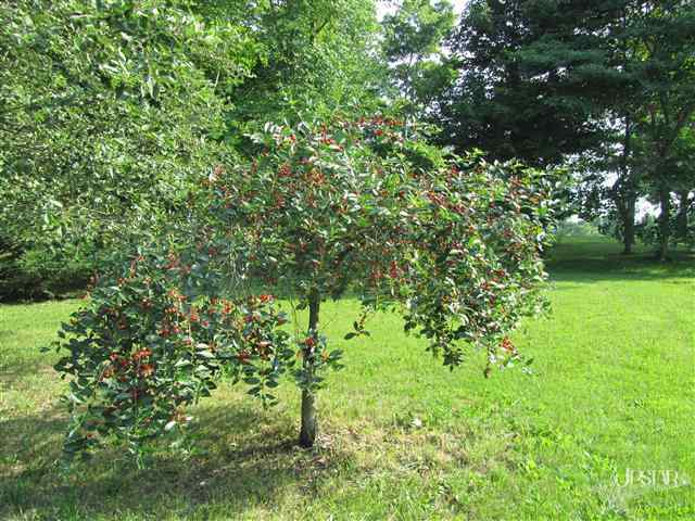10109 Watterson Road Churubusco, IN 46723 - Photo 24 of 30