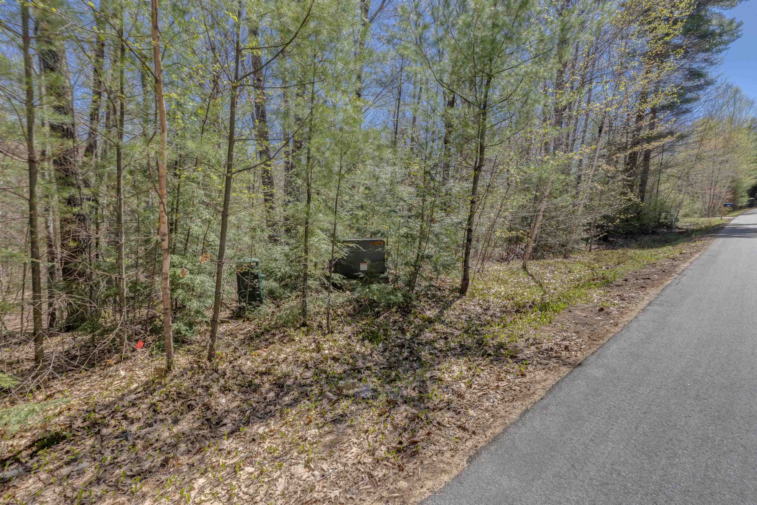 Lot 57 Deacon Willy Road Campton, NH 03223 - Photo 11 of 18