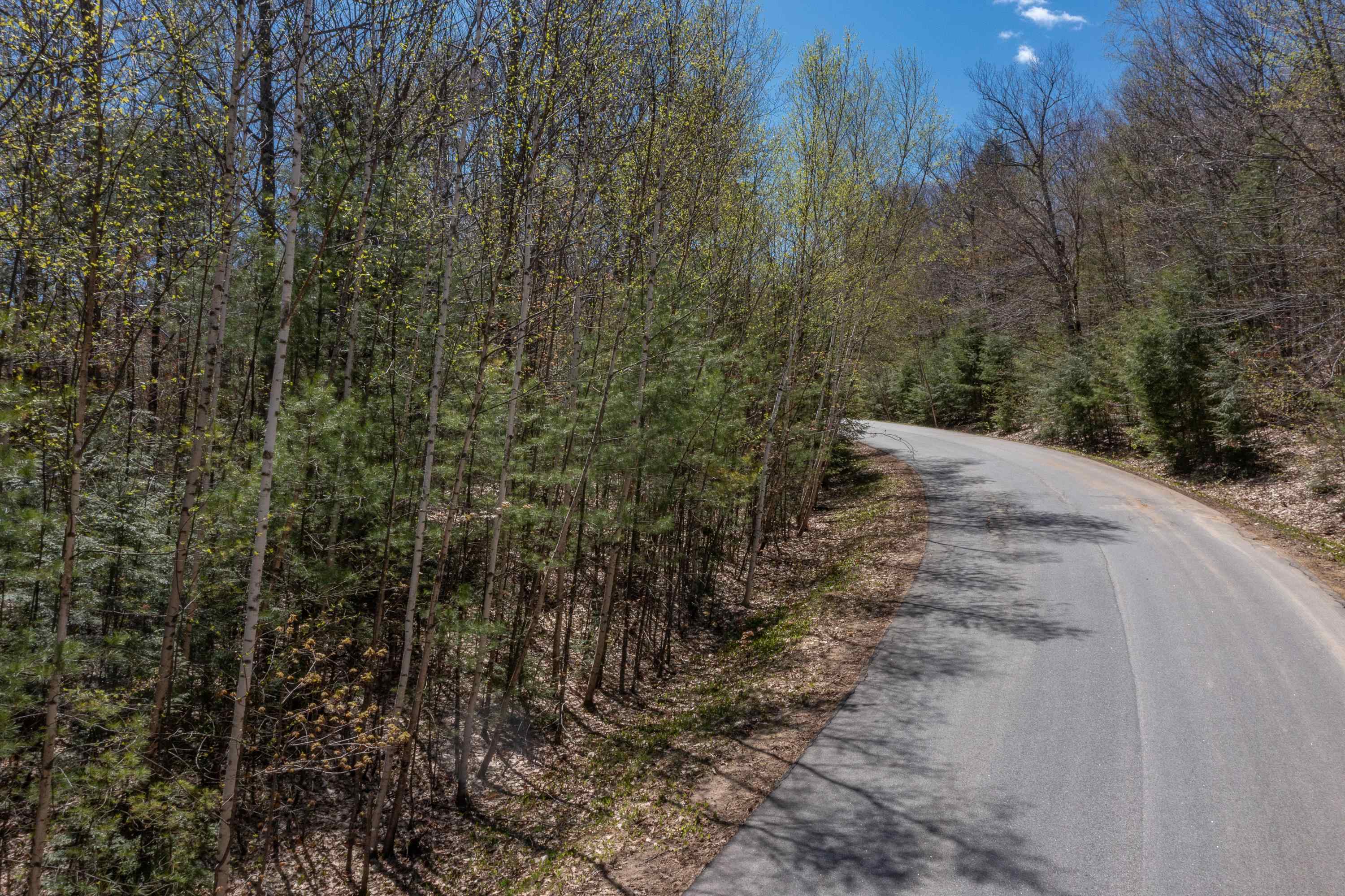 Lot 57 Deacon Willy Road Campton, NH 03223 - Photo 12 of 18