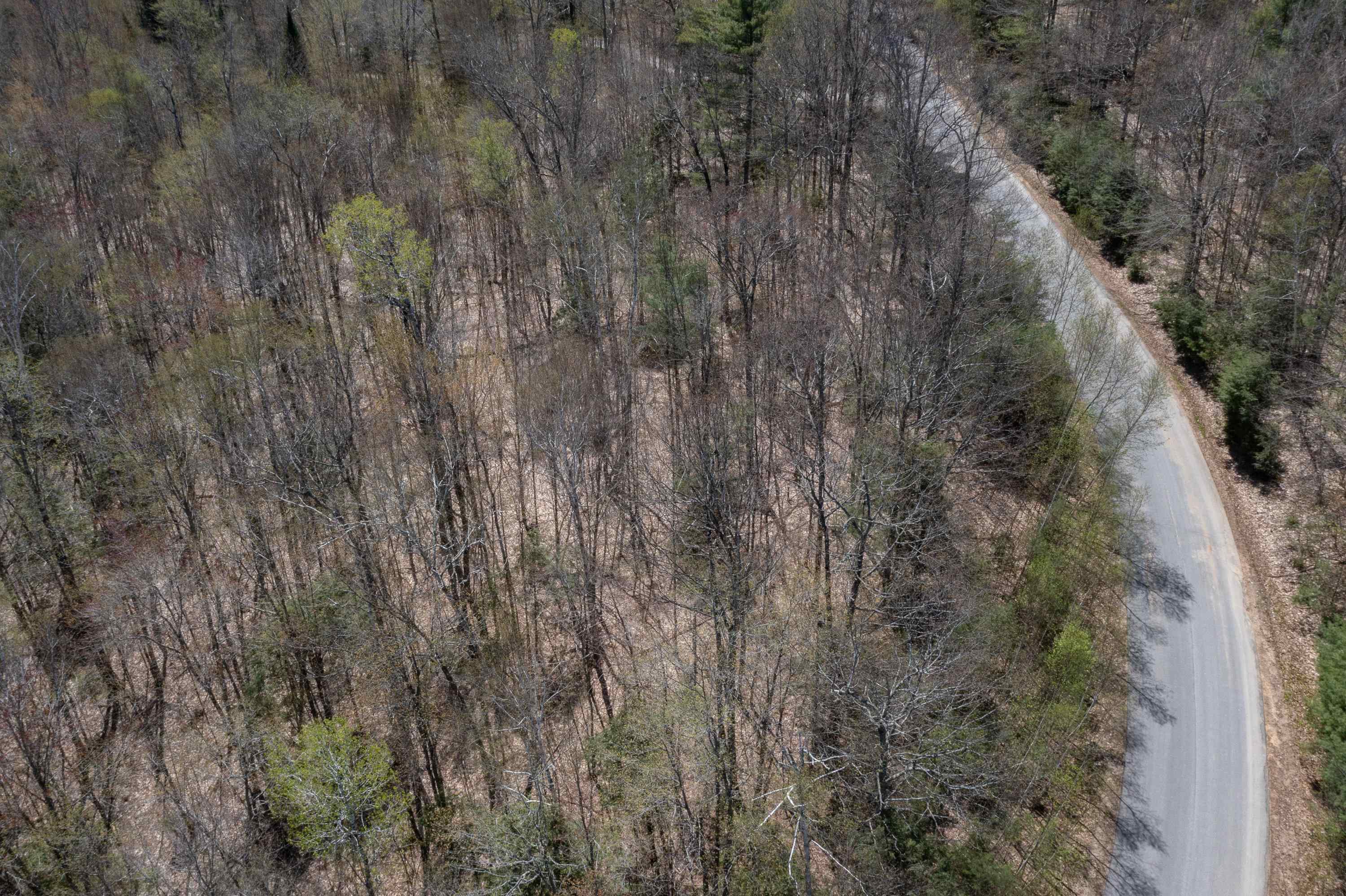 Lot 57 Deacon Willy Road Campton, NH 03223 - Photo 14 of 18