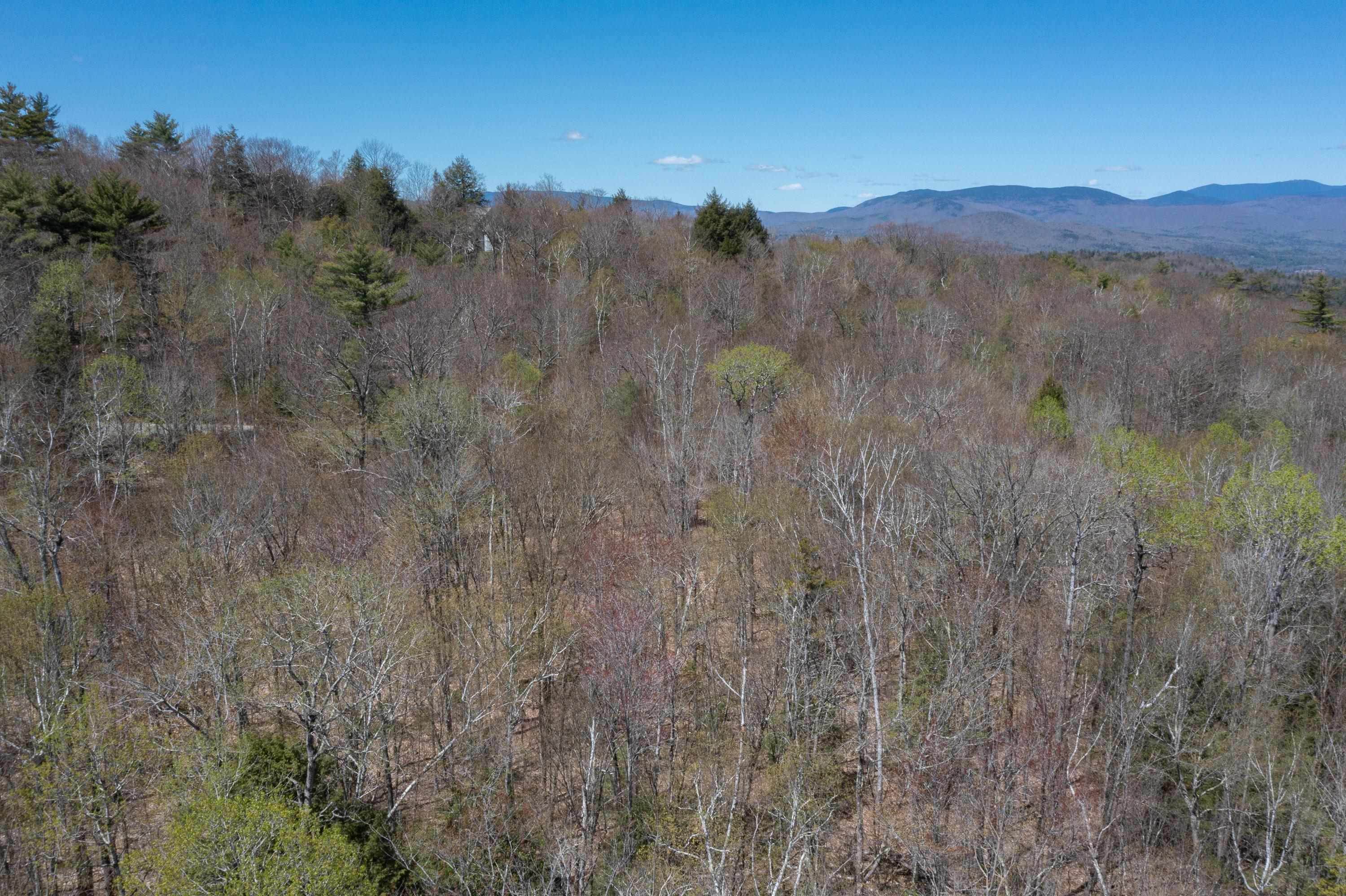 Lot 57 Deacon Willy Road Campton, NH 03223 - Photo 3 of 18