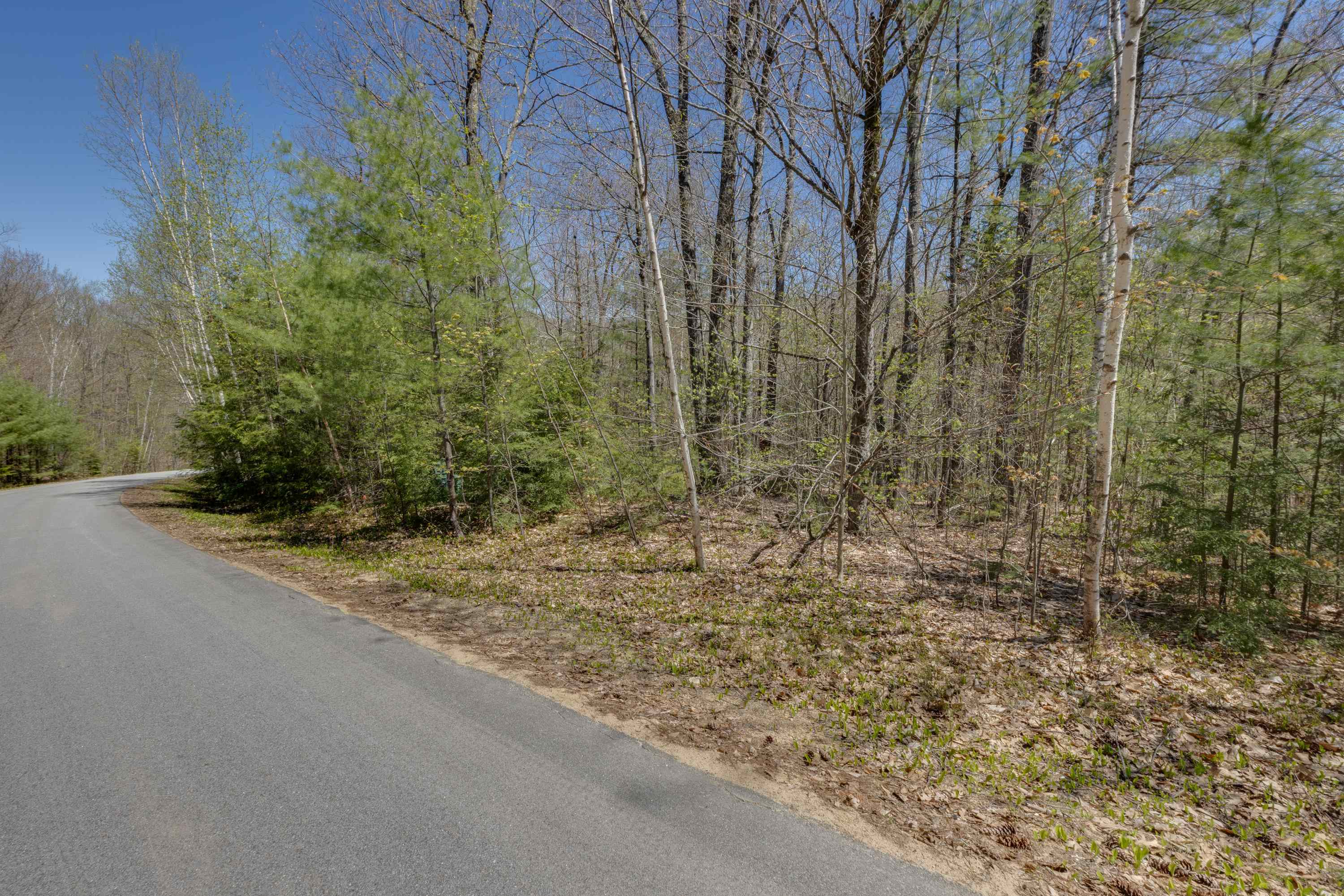 Lot 57 Deacon Willy Road Campton, NH 03223 - Photo 7 of 18