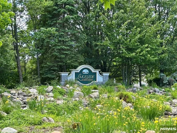 a close up of a tree in a garden