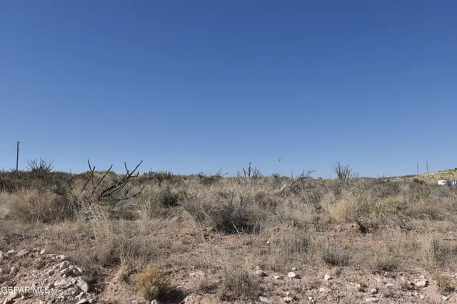 a view of mountain and trees