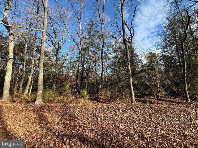 a view of outdoor space with trees