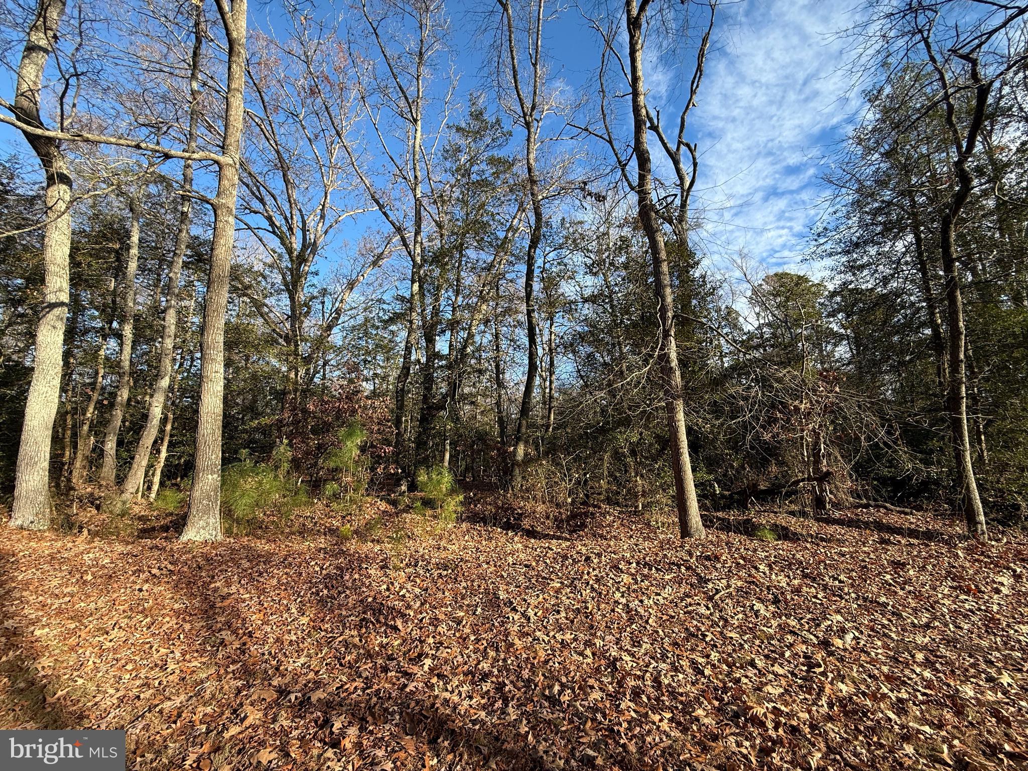 Waycross Place Newburg, MD 20664 - Photo 2 of 3