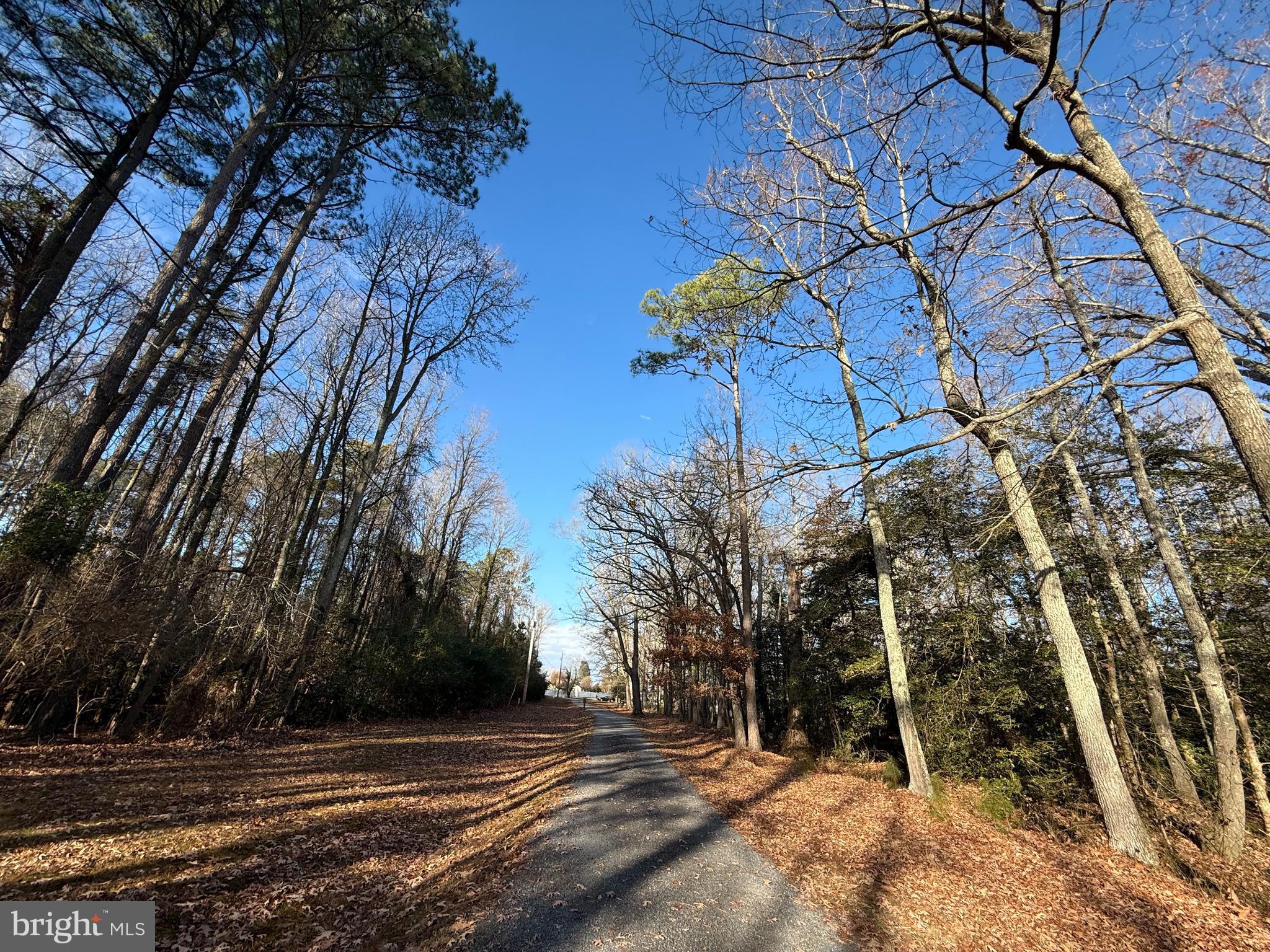 Waycross Place Newburg, MD 20664 - Photo 3 of 3