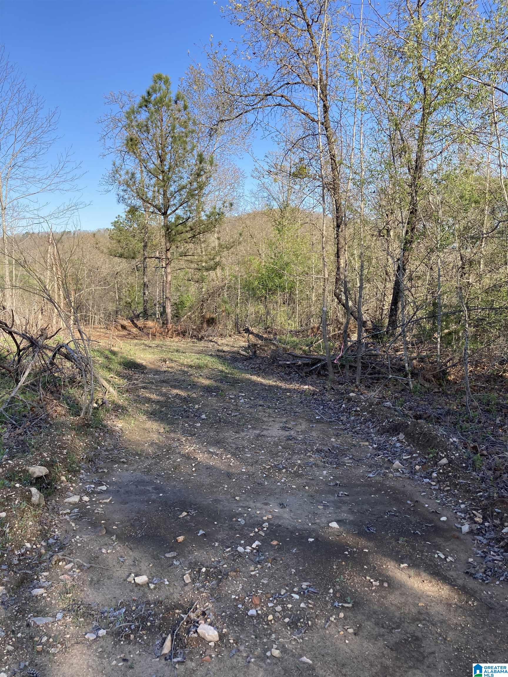 0 Jackson Trace Road, Unit 4 1 Talladega, AL 35160 - Photo 17 of 27