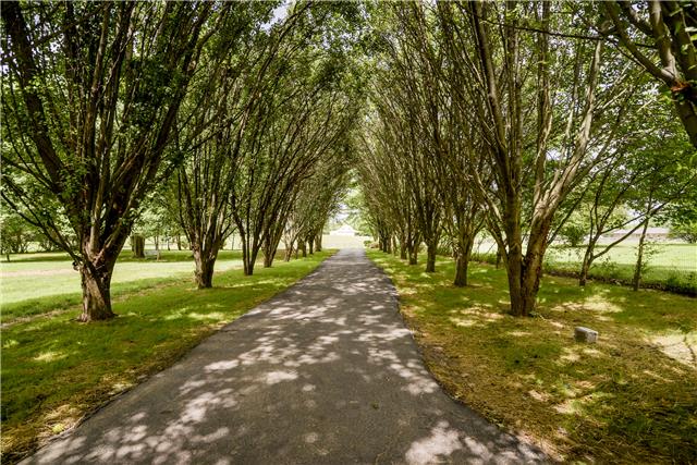4130 Hoods Branch Road Springfield, TN 37172 - Photo 15 of 15