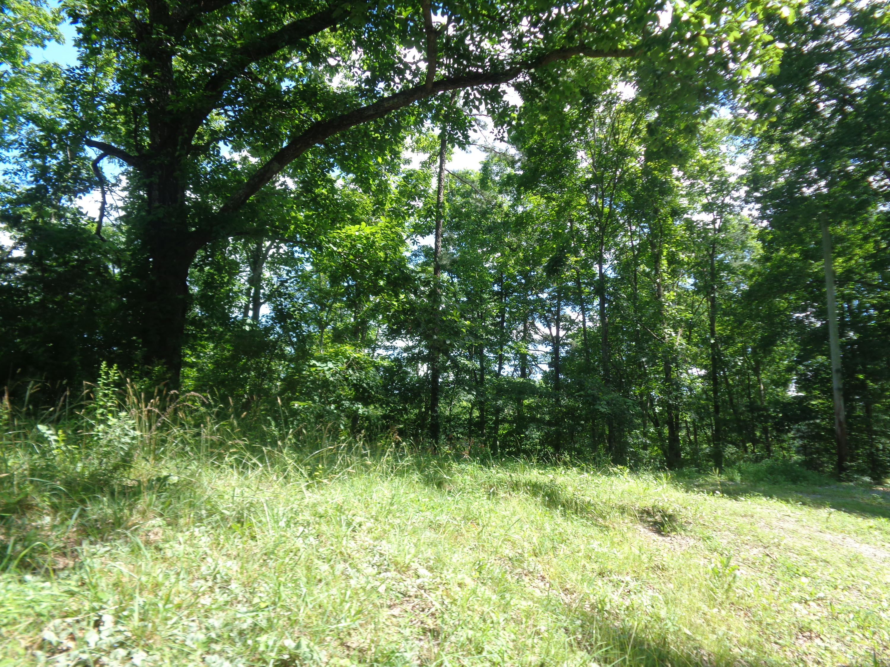 DSC04920