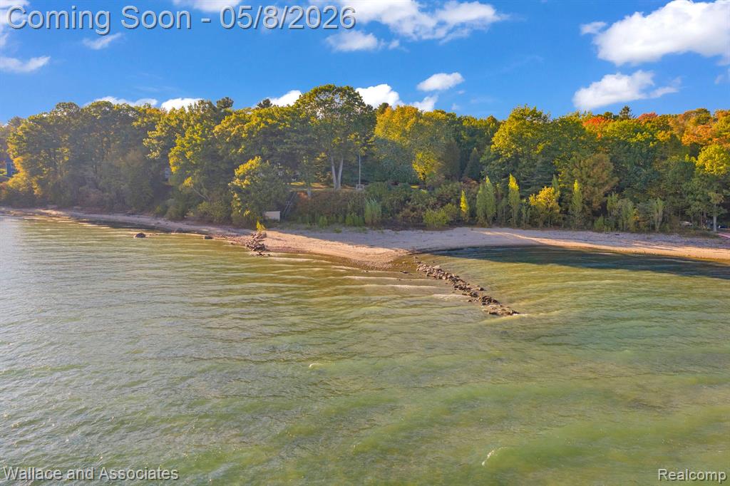 3941 Lakeshore Road Lexington, MI 48450 - Photo 5 of 24