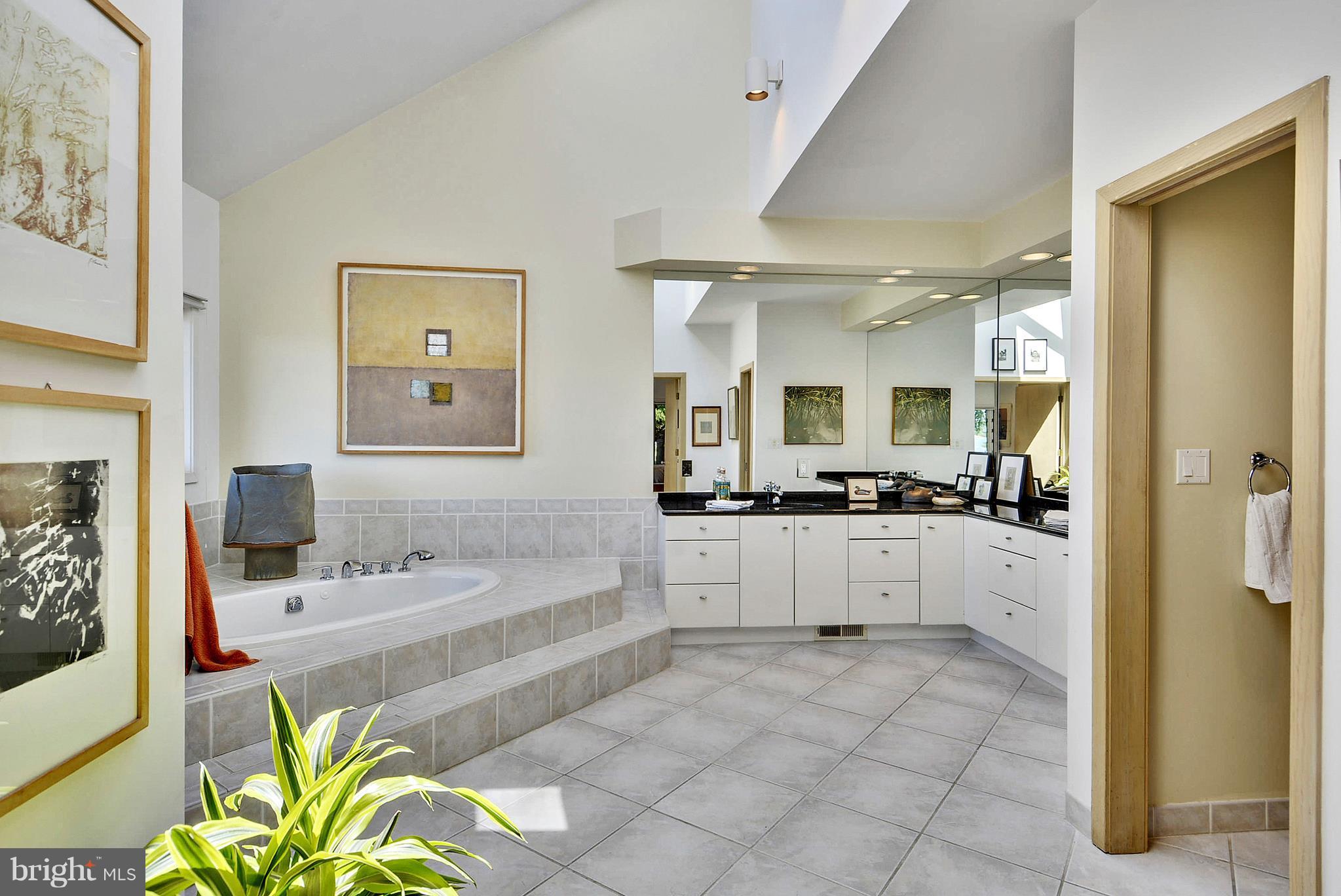 26689 North Point Road Easton, MD 21601 - Photo 15 of 42 Bath (Master)
