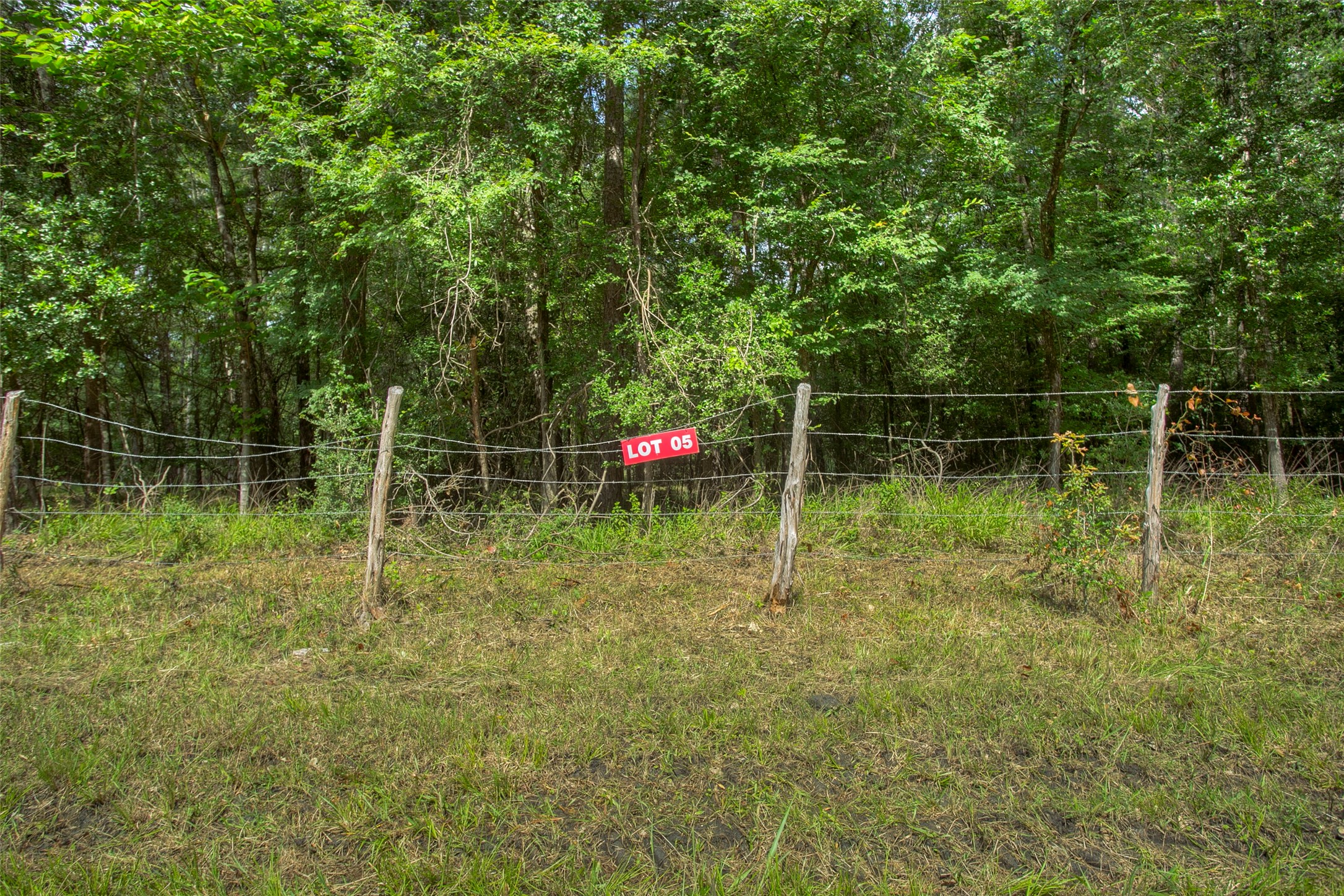 Lot 5 Utley Road Huntsville, TX 77320 - Photo 6 of 6