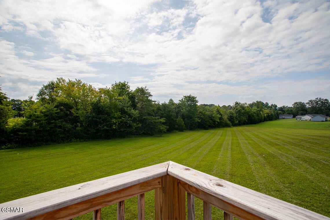 318 Harrison Ferry Road White Pine, TN 37890 - Photo 12 of 36