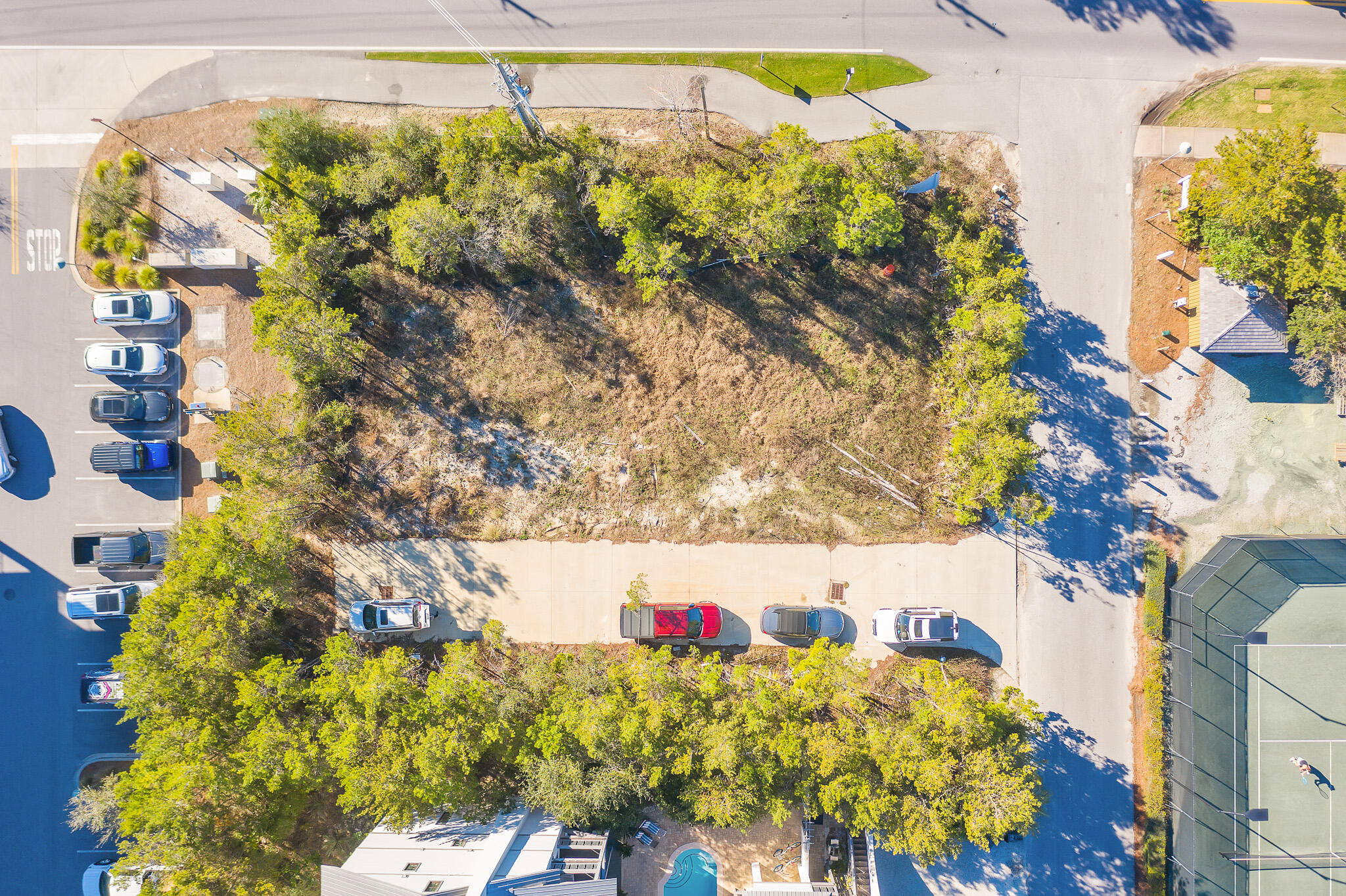 30a Inlet Beach Inlet Beach, FL 32461 - Photo 8 of 30 a picture of flowers