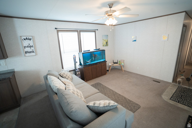 2491 Highway 89, Unit 111 Pleasant View, UT 84404 - Photo 4 of 20 Carpeted living room featuring a ceiling fan and crown molding