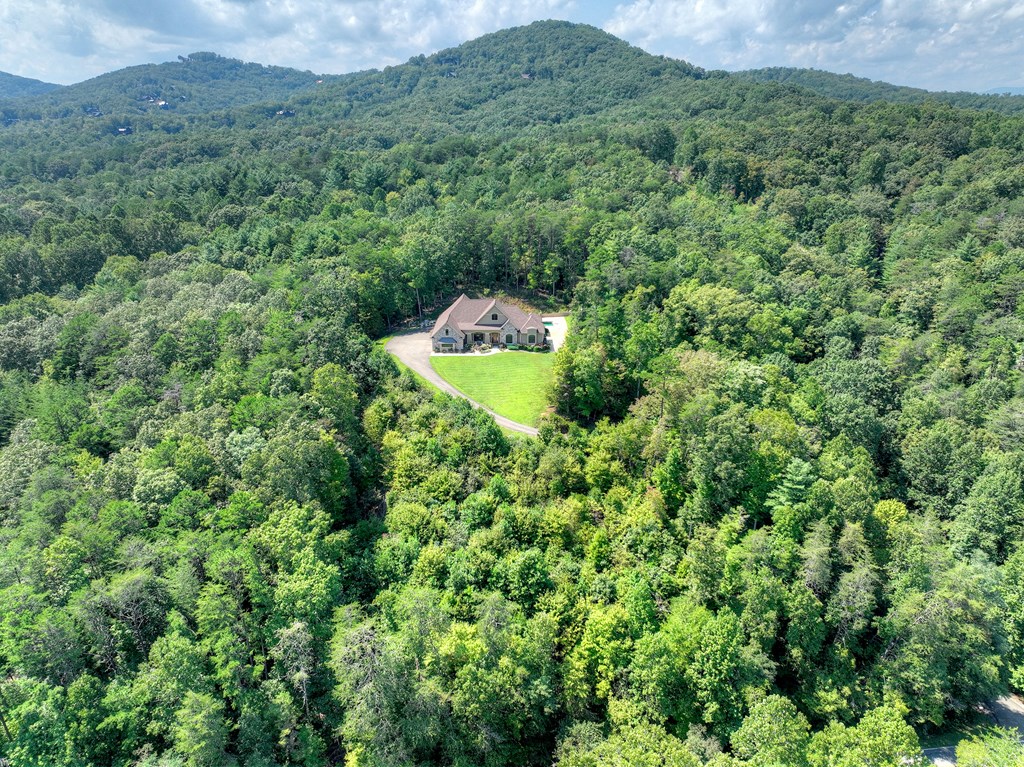 2740 Aska Road Blue Ridge, GA 30513 - Photo 3 of 56