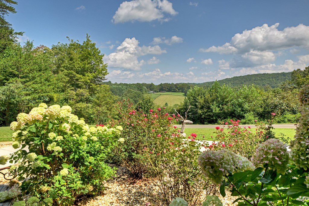 2740 Aska Road Blue Ridge, GA 30513 - Photo 51 of 56