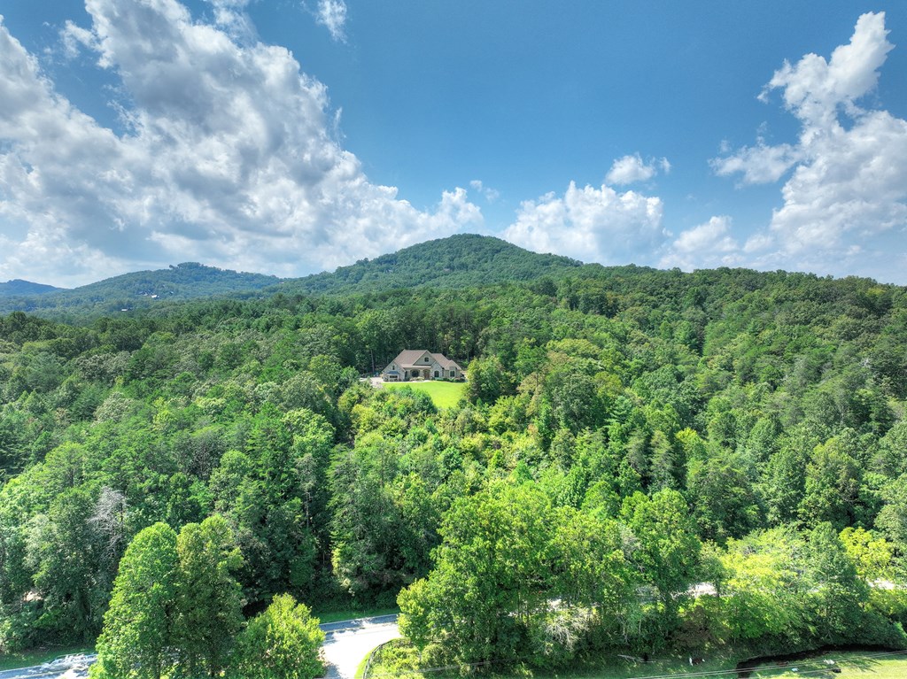2740 Aska Road Blue Ridge, GA 30513 - Photo 56 of 56