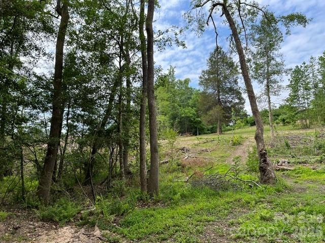 Tbd Fowler Road Granite Falls, NC 28630 - Photo 14 of 22 a yard with large trees