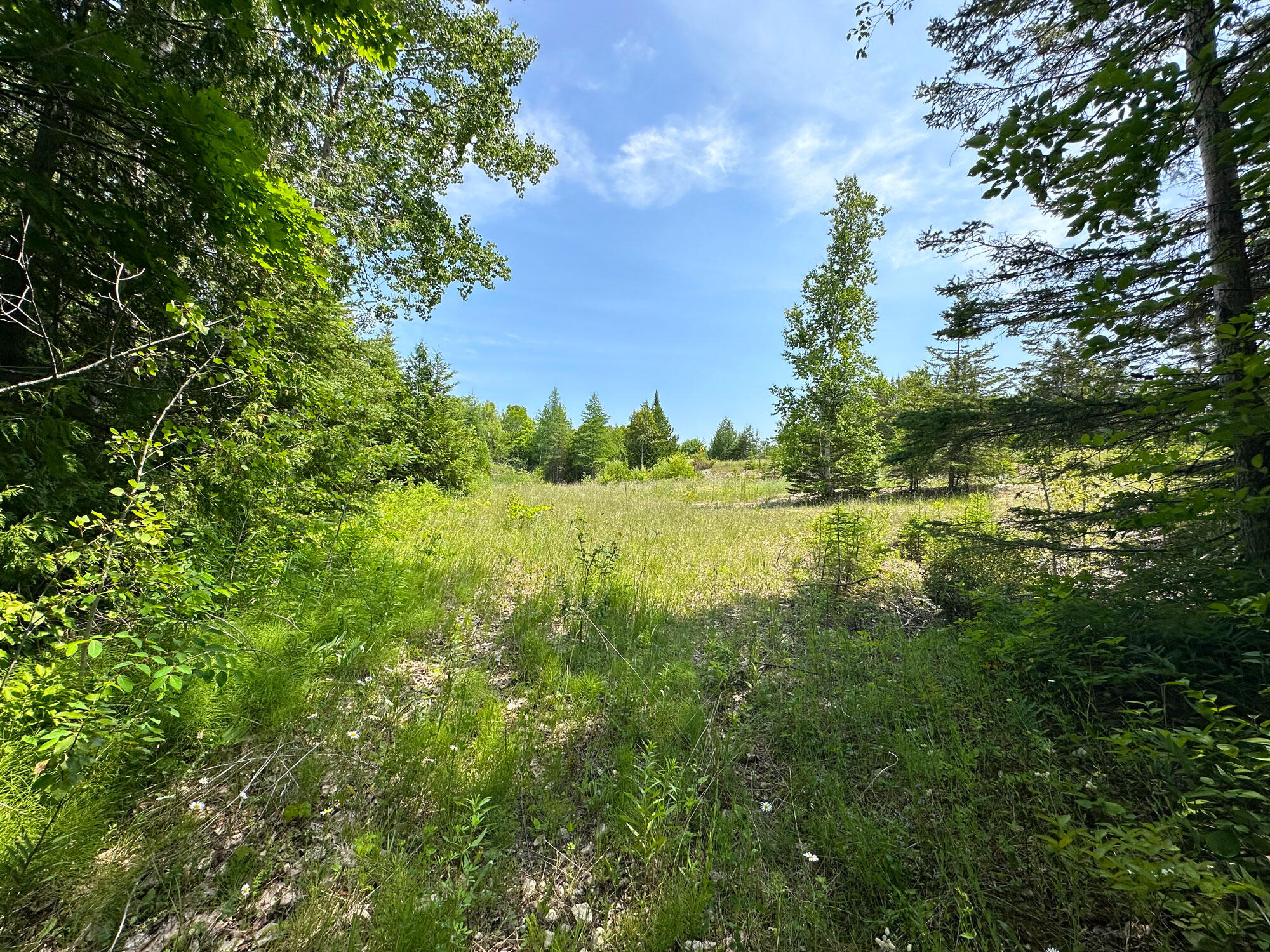 1363 Cheeseman Road St. Ignace, MI 49781 - Photo 20 of 35 Gallery Image 20