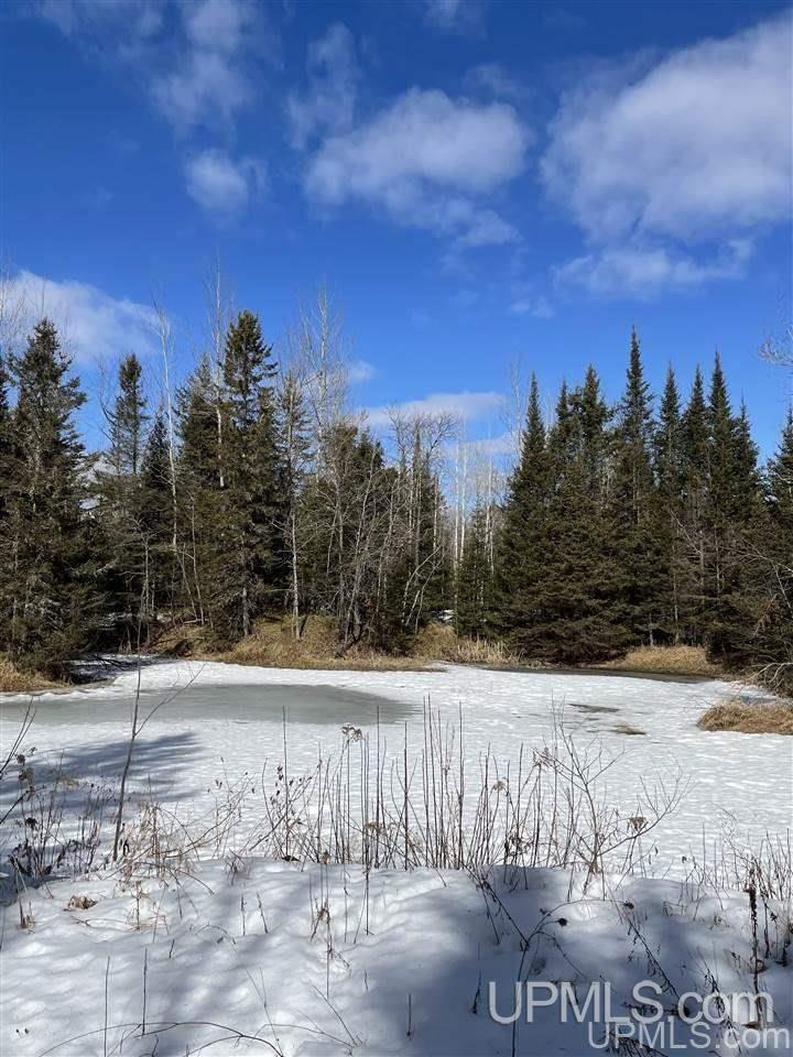 Tbd Tbd Co Road, Unit 1 Marquette, MI 49855 - Photo 42 of 50