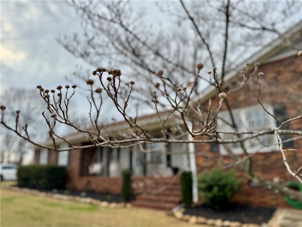 104 Lark Lane Anderson, SC 29625 - Photo 40 of 49 A dogwood tree adds to the curb appeal of this this charming brick home.