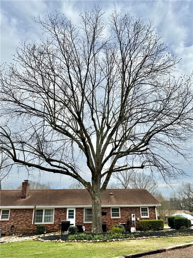 104 Lark Lane Anderson, SC 29625 - Photo 49 of 49 The mature pecan tree in back provides afternoon shade and a bounty of pecans!
