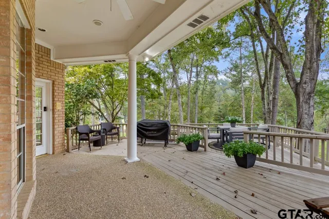 a view of a yard with plants and trees