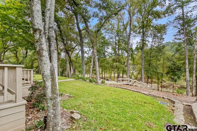 a view of a yard with plants and trees