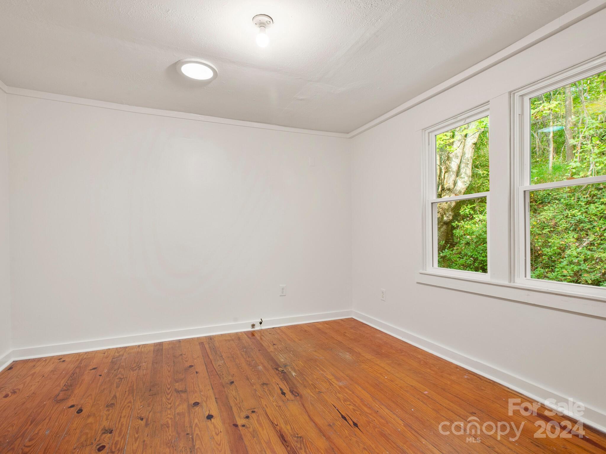 42 Maple Springs Road Asheville, NC 28805 - Photo 20 of 33 Gallery Image 20