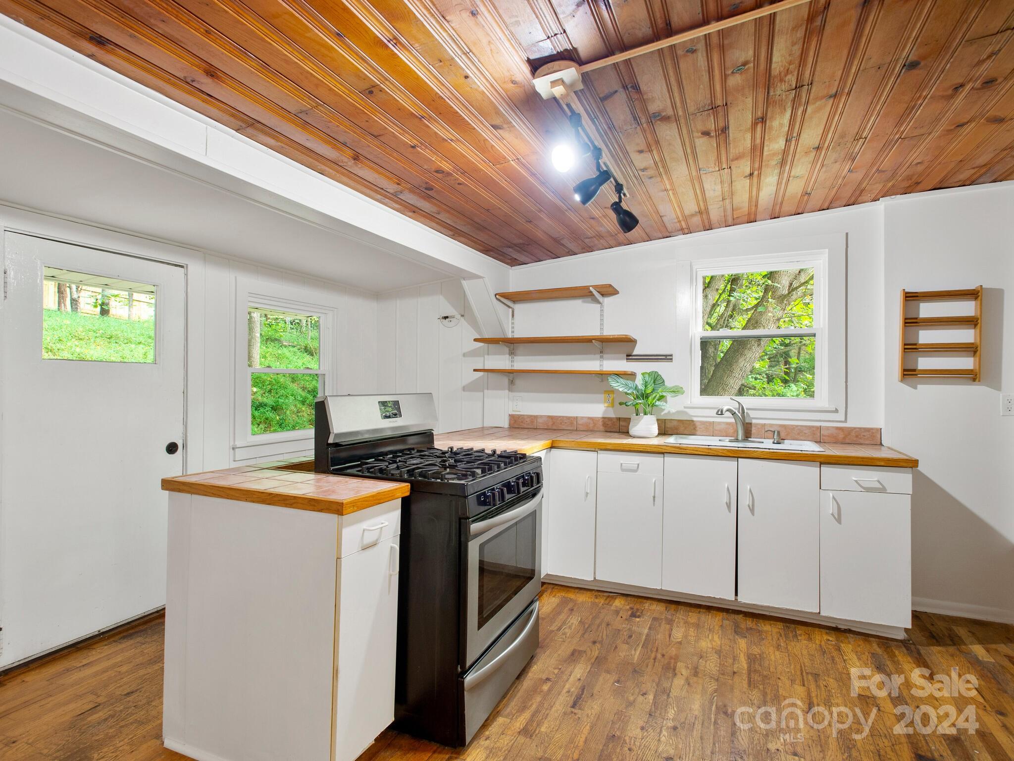 42 Maple Springs Road Asheville, NC 28805 - Photo 10 of 33 Gallery Image 10