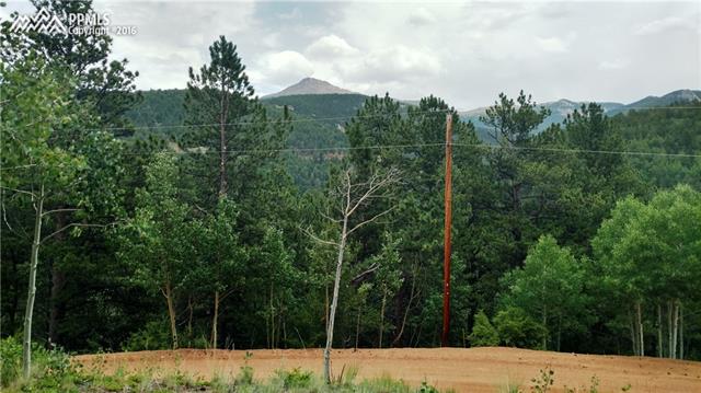 423 Valley Road Divide, CO 80814 - Photo 6 of 28 Gallery Image 6