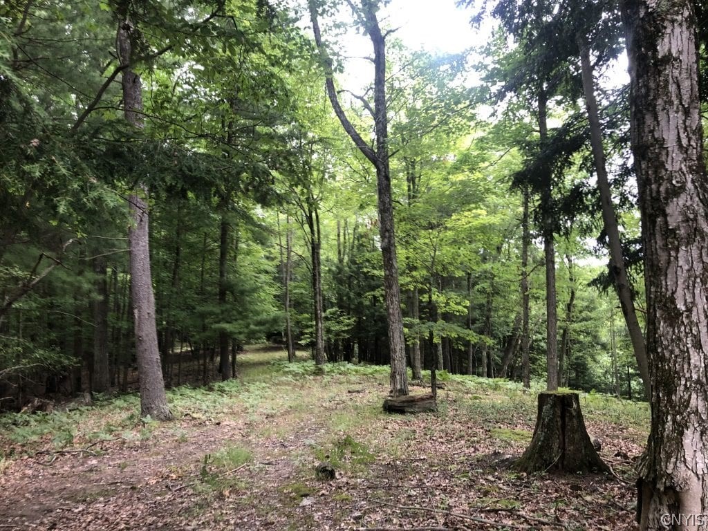 0 Sonnleitner Road Hunt, NY 14846 - Photo 5 of 16