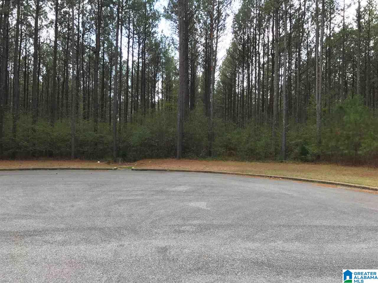 78 Pilgrims Path, Unit 19 Anniston, AL 36207 - Photo 29 of 35