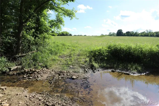 $1,175,000 | 291 Highway O Poplar Bluff, Williamsville, MO 63967