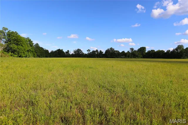 $1,175,000 | 291 Highway O Poplar Bluff, Williamsville, MO 63967