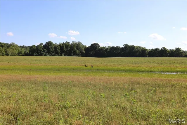 $1,175,000 | 291 Highway O Poplar Bluff, Williamsville, MO 63967