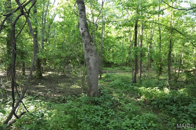 $1,175,000 | 291 Highway O Poplar Bluff, Williamsville, MO 63967