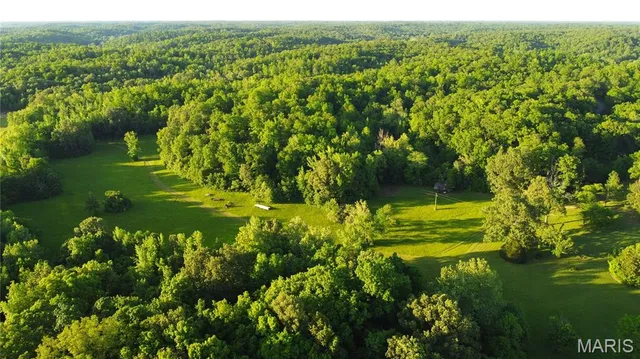 $1,175,000 | 291 Highway O Poplar Bluff, Williamsville, MO 63967