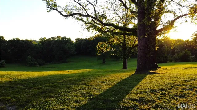 $1,175,000 | 291 Highway O Poplar Bluff, Williamsville, MO 63967