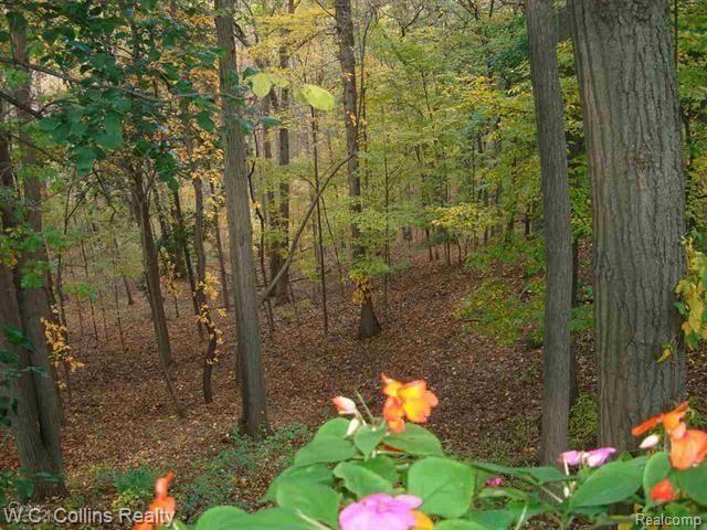 992 River Mist Drive Rochester, MI 48307 - Photo 40 of 42 40.JPG