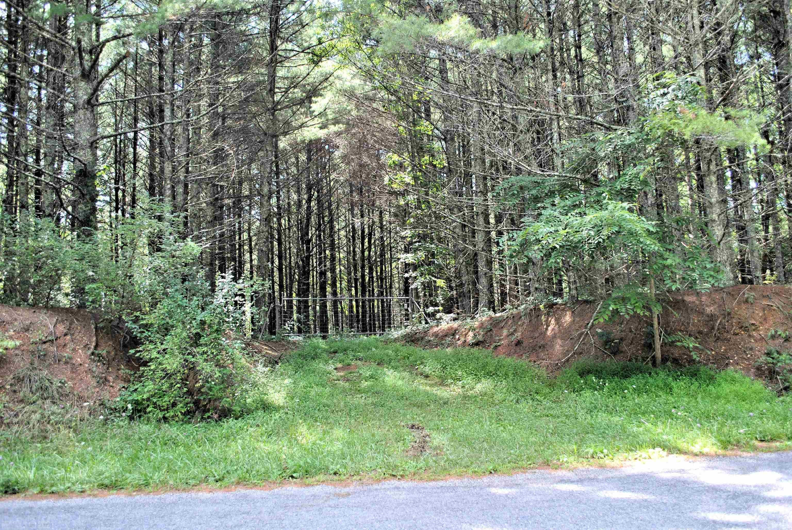 Tbd 153.054-ac Tbd 153.054-ac Chestnut Ridge Road Riner, VA 24149 - Photo 4 of 31 Gallery Image 4