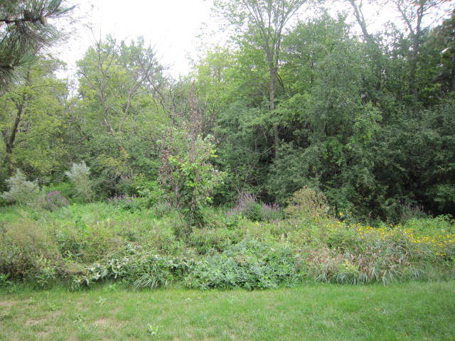2037 Countryside Lane Round Lake Beach, IL 60073 - Photo 4 of 11