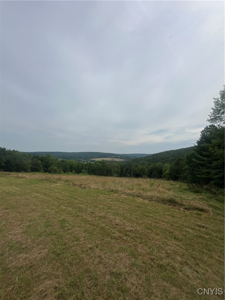930 Reit Road Otselic, NY 13464 - Photo 30 of 36