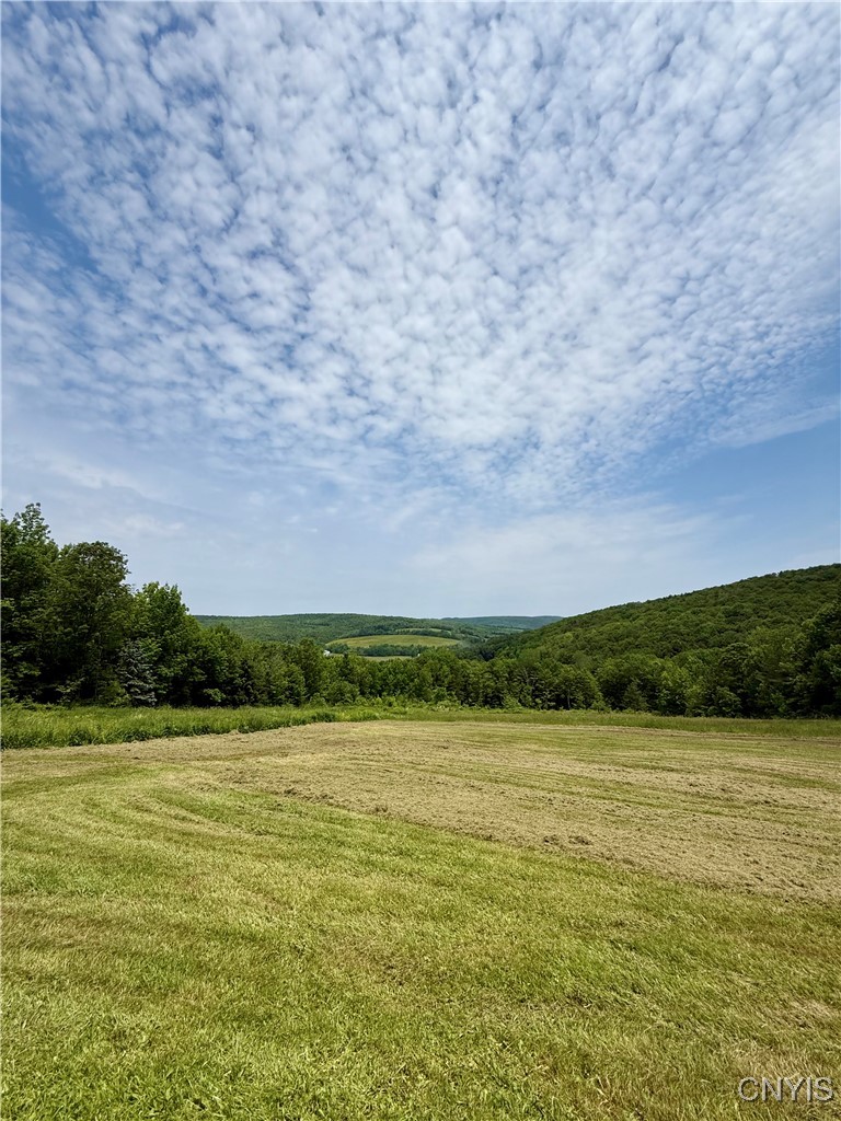 930 Reit Road Otselic, NY 13464 - Photo 36 of 36